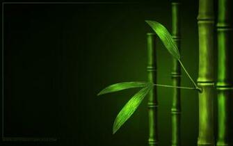 Gallery For Gt Bamboo Desktop Background