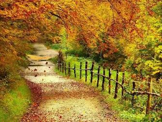 Wallpaper Super Autumn Scenery