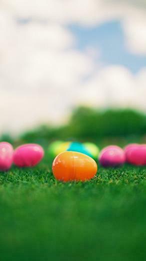 Coloured Easter Eggs Surface Rt Wallpaper