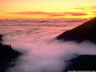 Mavis Fitzpatrick Fog Wallpaper