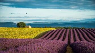 F Provence France Background Oswald Waters