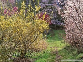 Url Wallcoo Net Nature Season Html Wallpaper10