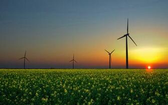 HD Windmill Wallpaper