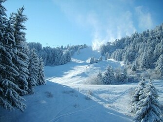 Winter Scenery Wallpaper Snowfall Beautiful