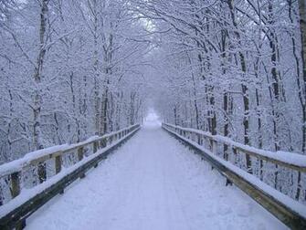 Winter Wallpaper Nature Home Desktop