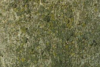 Library Of High Resolution Textures