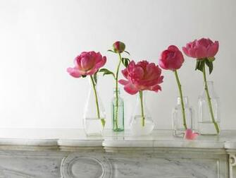 Bottles Peonies Vases Bud Rose Wallpaper Background