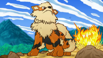 Arcanine Background HD Net