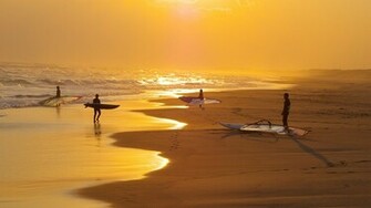 Morning Surfing Wallpaper HD Summer Desktop Background