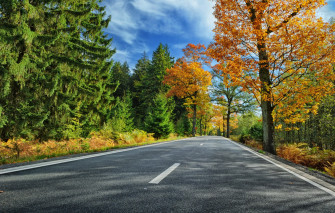 Wallpaper Road Autumn Forest Leaves Trees Park Colorful