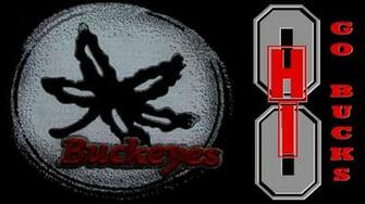 Buckeye Leaf Buckeyes O H I Go Bucks Hq Wallpaper