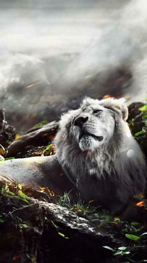 Jungle Lion Wallpaper iPhone