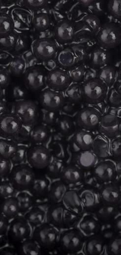 Black Caviar Granular Wallpaper