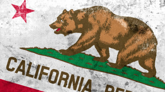 A Revolt Now Extinct Bear And The Lone Star Inspired
