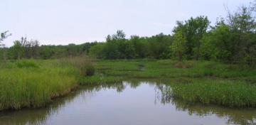 Oklahoma Conservation Commission Wq Wetlands