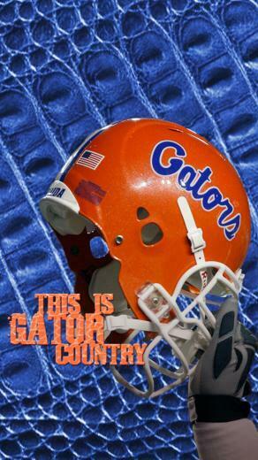 University Of Florida Gators This Is Gator Country Football Helmet