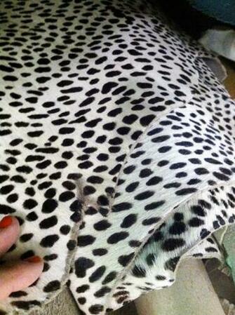 Me Of One My Favorite Wallpaper Thibaut S Tanzania Animal Spots