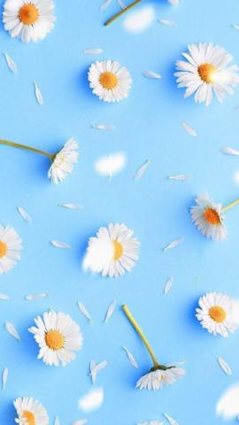 Lockscreen Flower Phone Wallpaper Colorful