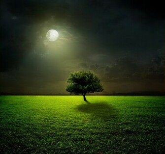 Beautiful Moonlight HD Wallpaper Elsoar