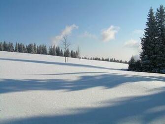 Winter Scene Wallpaper Image And Nature