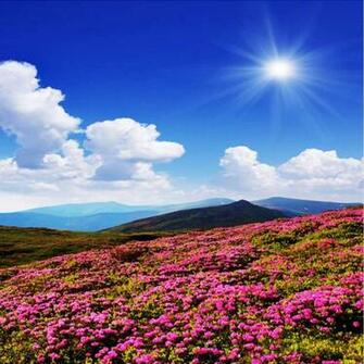 Amazon Xbwy Custom 3d Photo Wallpaper Scenery For Walls
