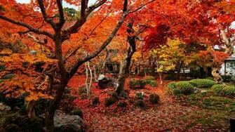 Autumn Wallpaper