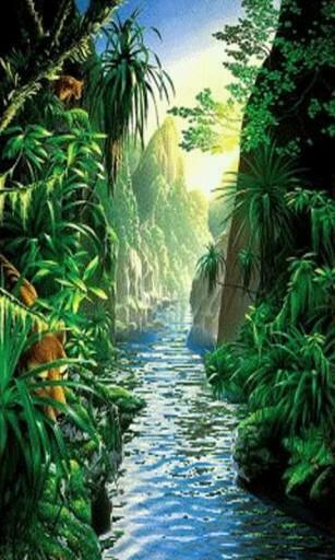 Bigger Rainforest Live Wallpaper For Android Screenshot