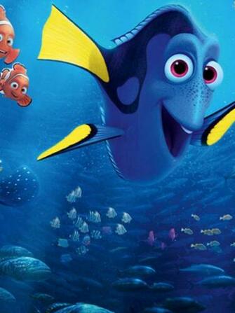 Finding Dory Pixar Disney 4k Ultra HD Wallpaper