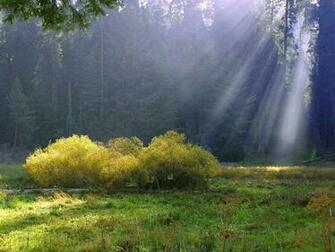 Ray Of Heaven Desktop Pc And Mac Wallpaper