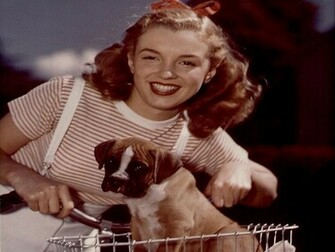 Norma Jeane Mortenson Wallpaper HD