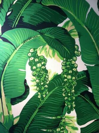 Carleton V Wallpaper Brazillance Goodbonesgreatpieces