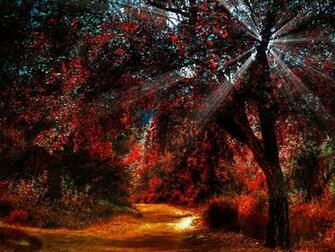 Background Fall Autumn Leaves