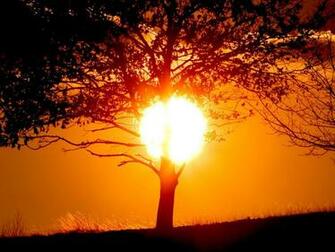 Cool HD Nature Desktop Wallpaper Tropical Sunset