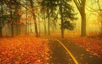 Windows Xp Autumn Wallpaper Weddingdressin