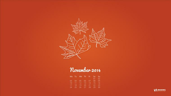 Amazing Photos November Image Collection