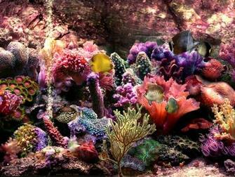 Underwater Scene