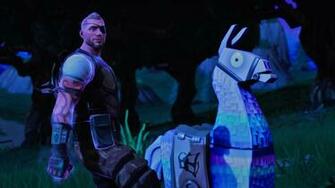 They Re Coming For Me Battlehawk Don T Worry Llama I Ll