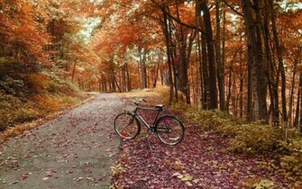 Nostalgic Memory Bicycles Aesthetic Photography Wallpaper