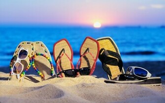 Funny Summer Wallpaper In Beach HD