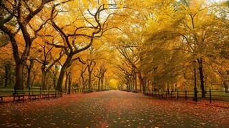 Fall Desktop Wallpaper Widescreen 1080p
