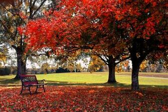 Fall Computer Background Wallpaper HD