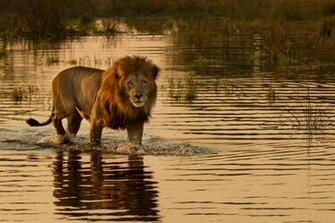 Botswana Wallpaper High Quality