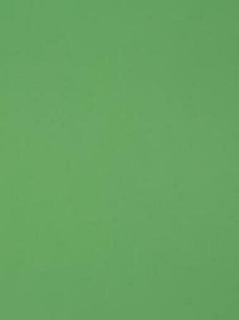 Rasch Textil Non Woven Wallpaper Giggle Kids