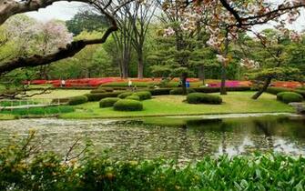 Spring Ambience Every Day With Screensavers And Wallpaper