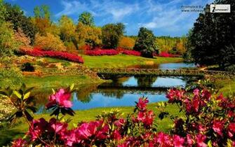 Beautiful Spring Desktop Wallpaper Best Background