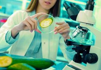 Novozymes Qa Jobs Msc Candidates With A Background In Life