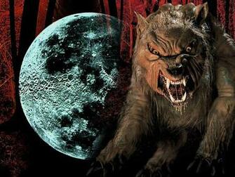 Lobo Wallpaper Hombre