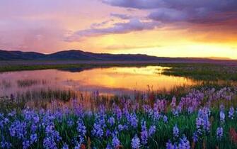 Top Ten Stunning Photos Of Sunrise