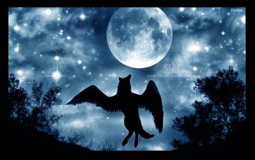 Winged Wolf Wolves Photo