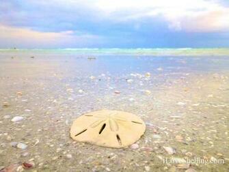 Pin Star Beach Sand Waves Landscapes Nature